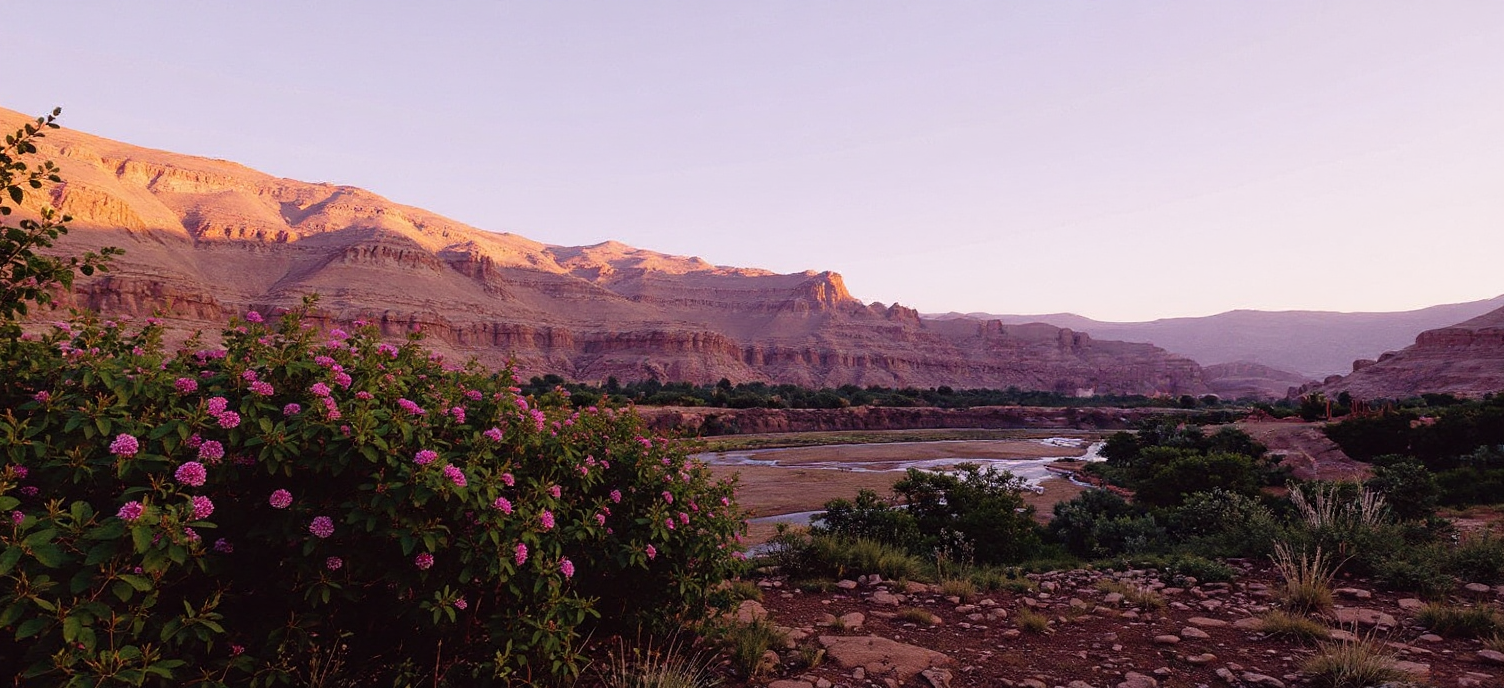 vallée des roses