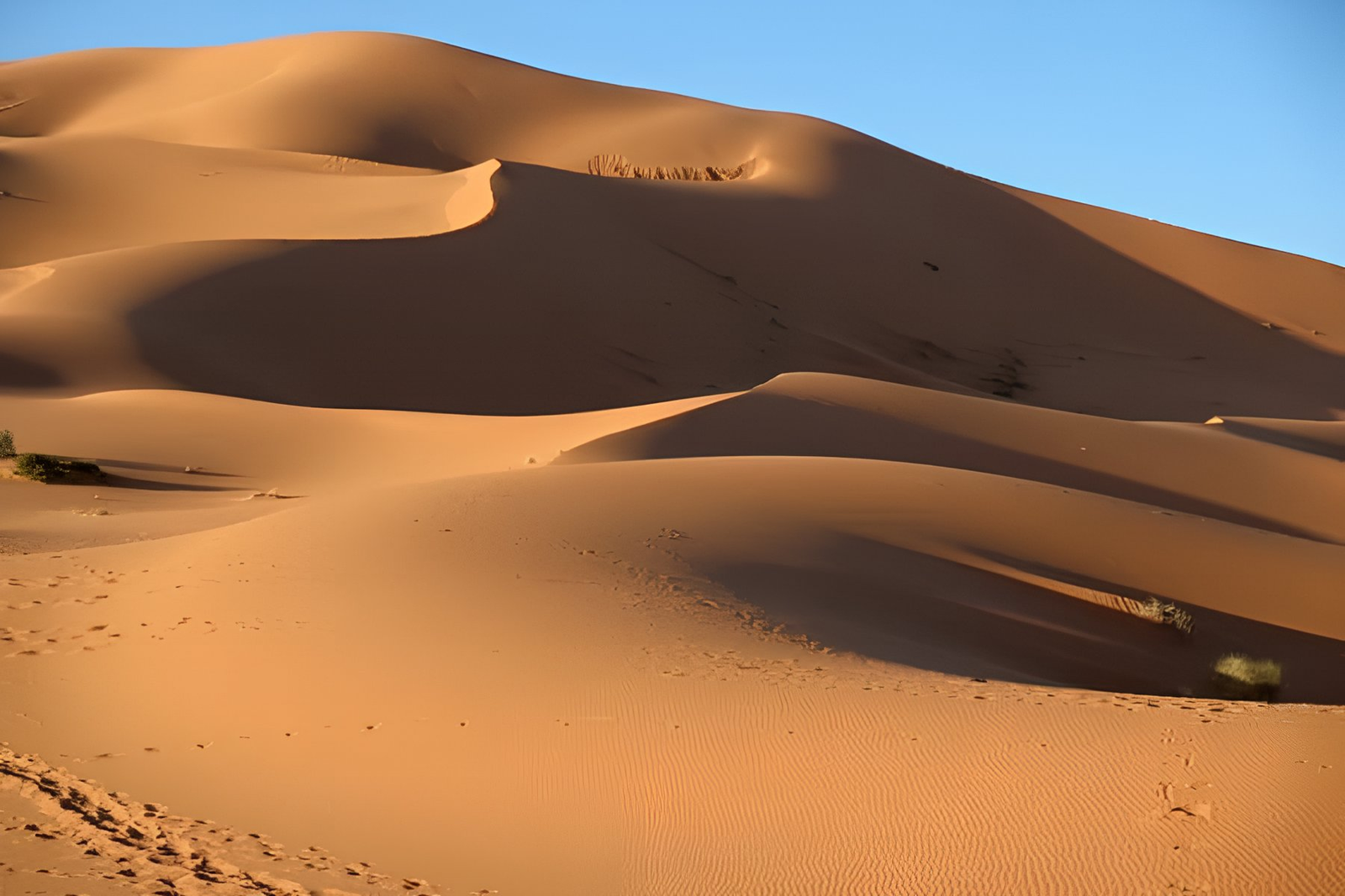 les dunes de tinfou
