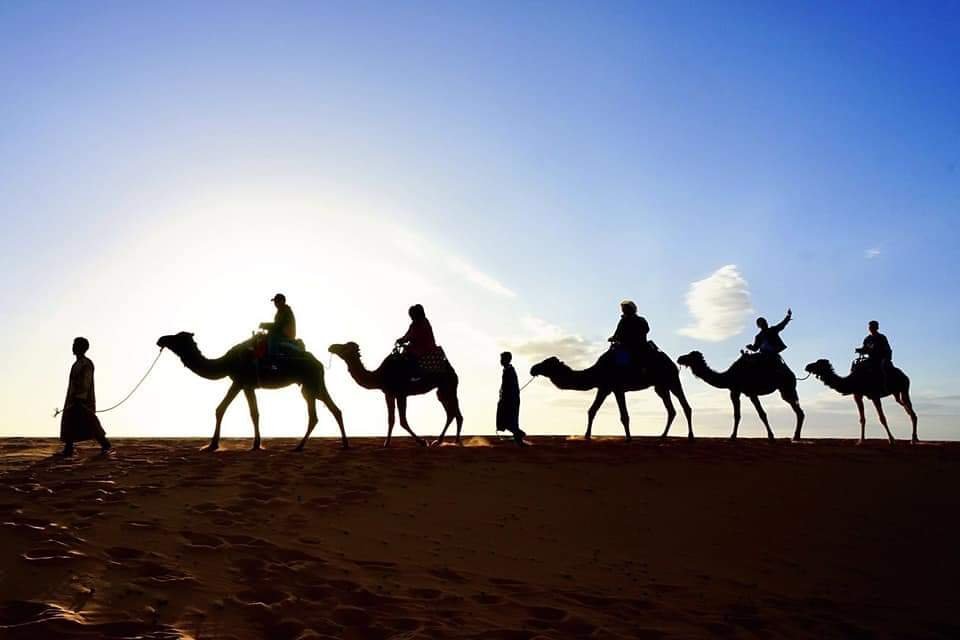 Camel Trek Camel Trek