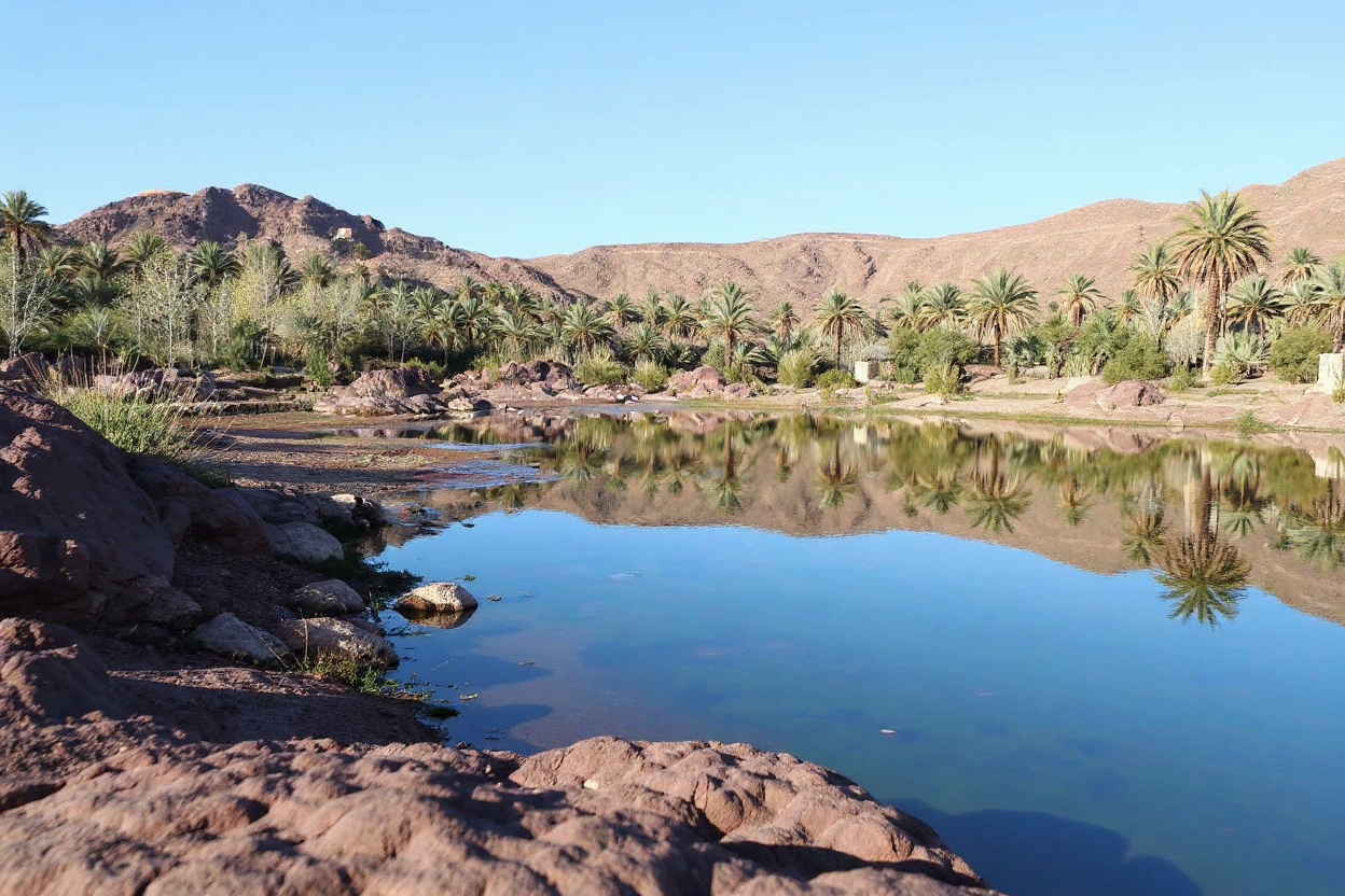 Oasis de Fint