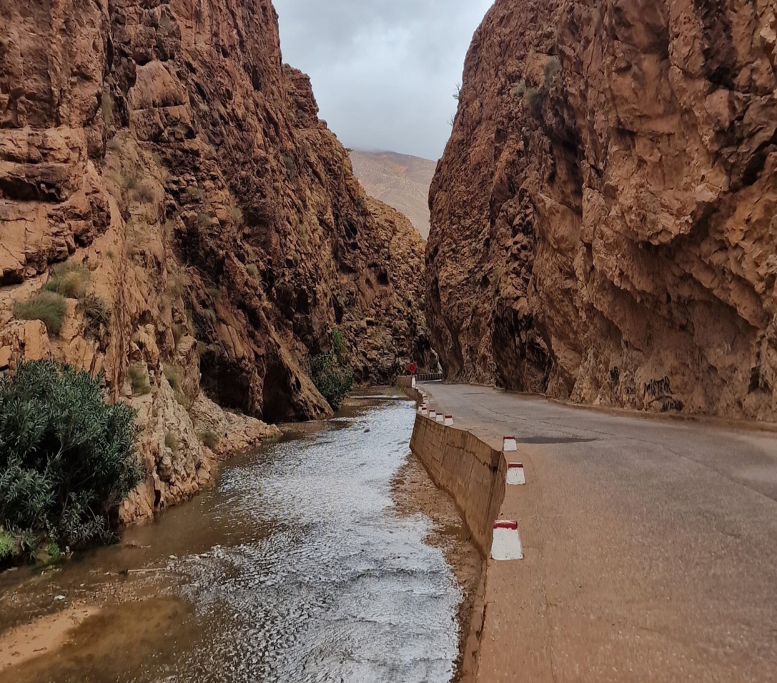 gorges de dades