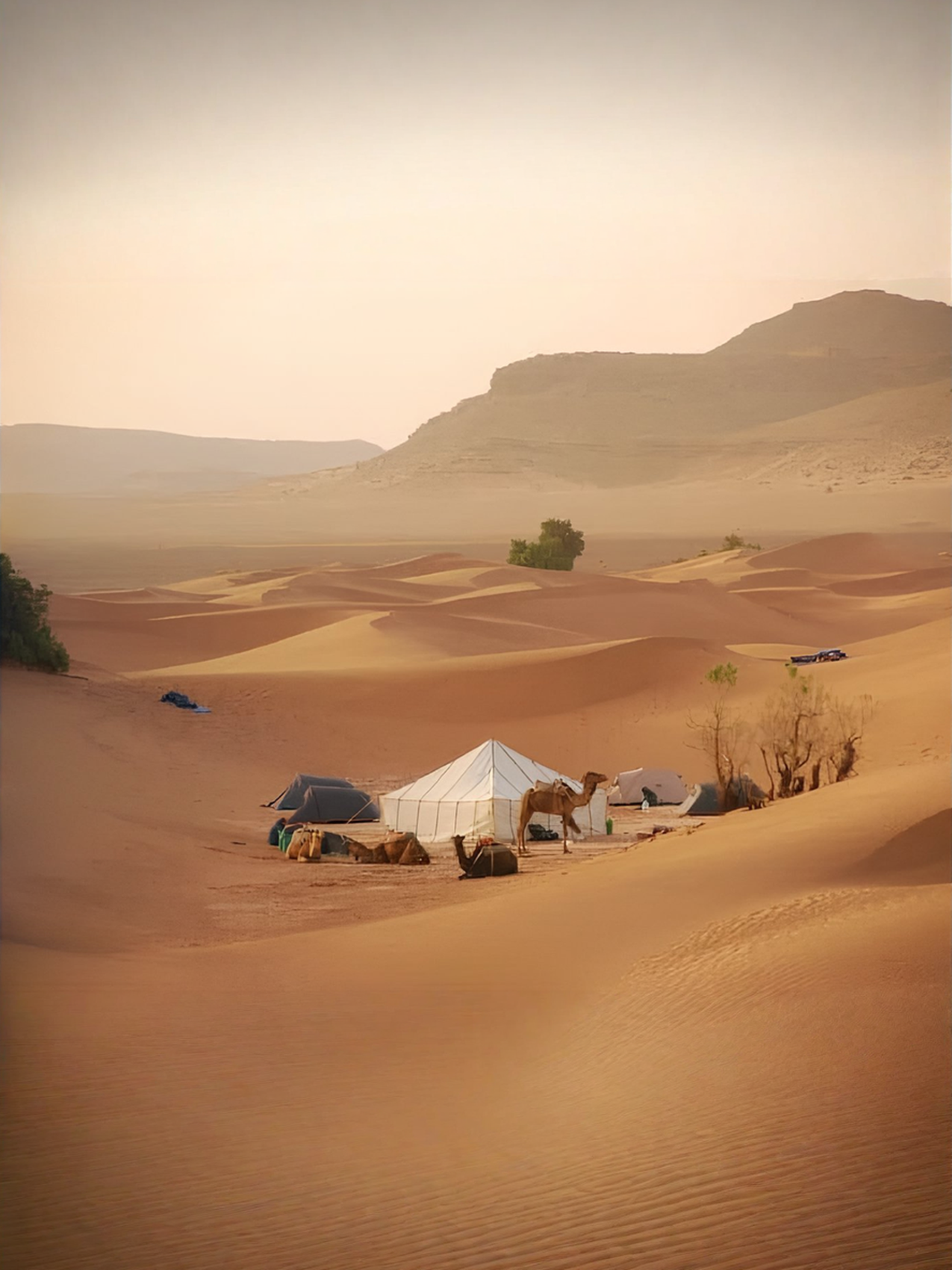 Bivouac au sahara