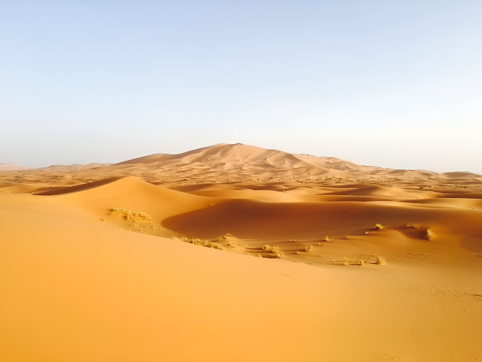 Gorges de sahara